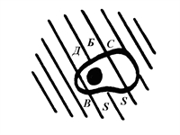Biophysical Society of Serbia